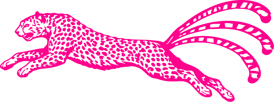 Leopard logo